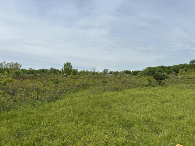 Reeves, Memphis, MI 48041 - photo 8