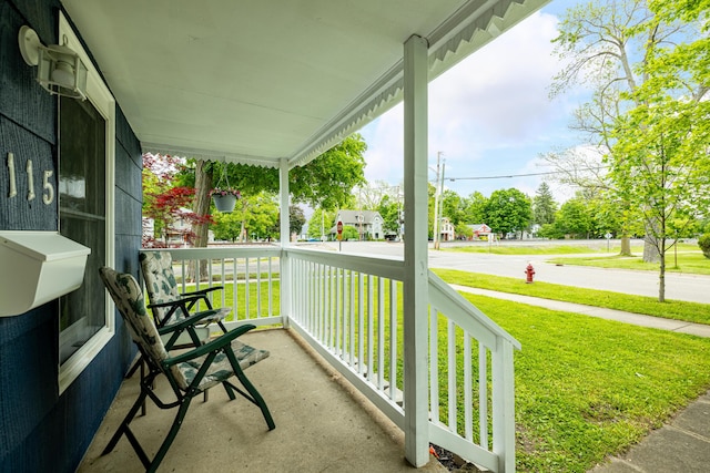 115 Mckinley St, Chelsea, MI 48118 - view of porch