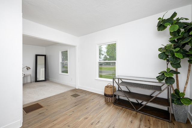 115 Mckinley St, Chelsea, MI 48118 - sitting room with wood finished floors and baseboards