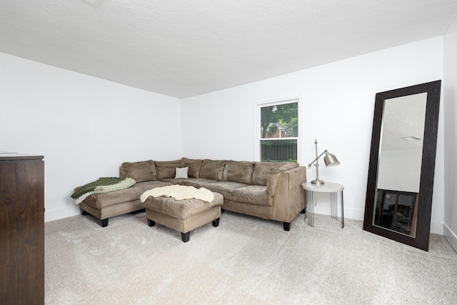 115 Mckinley St, Chelsea, MI 48118 - carpeted living room featuring baseboards