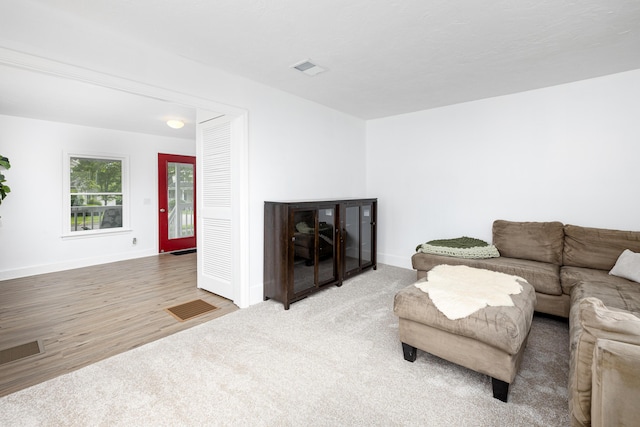 115 Mckinley St, Chelsea, MI 48118 - living area with baseboards, wood finished floors, and carpet