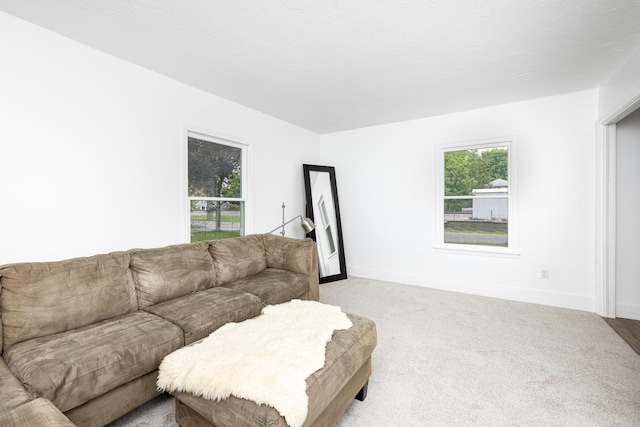 115 Mckinley St, Chelsea, MI 48118 - living room with baseboards and carpet