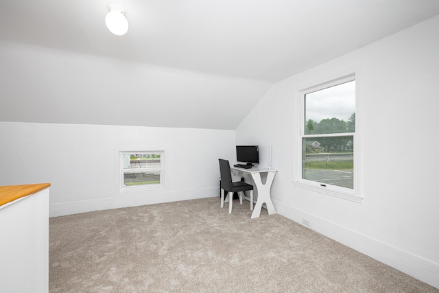 115 Mckinley St, Chelsea, MI 48118 - office space with vaulted ceiling and carpet