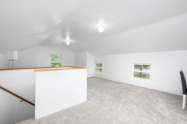 115 Mckinley St, Chelsea, MI 48118 - bonus room featuring lofted ceiling and carpet flooring