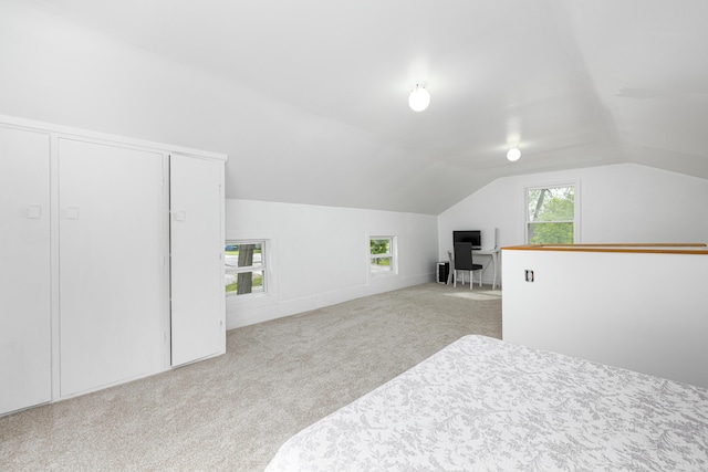 115 Mckinley St, Chelsea, MI 48118 - unfurnished bedroom with carpet flooring and vaulted ceiling