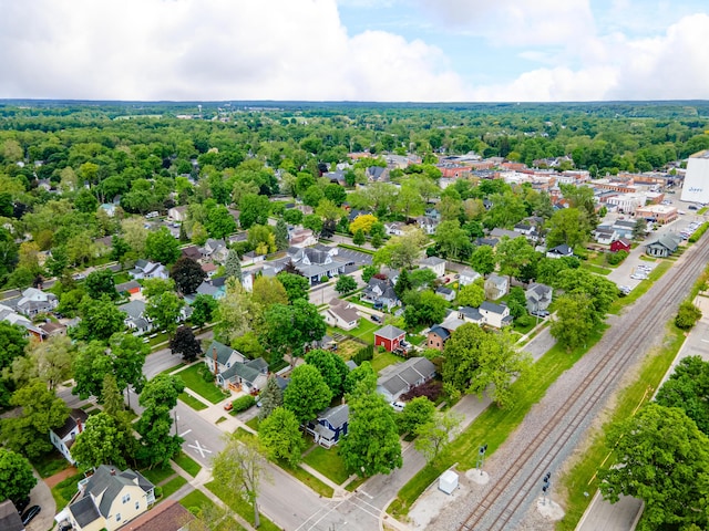 115 Mckinley St, Chelsea, MI 48118 - aerial perspective of suburban area