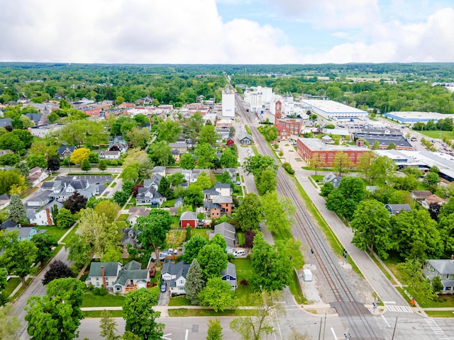 115 Mckinley St, Chelsea, MI 48118 - bird's eye view