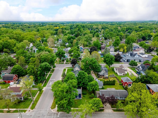 115 Mckinley St, Chelsea, MI 48118 - aerial perspective of suburban area