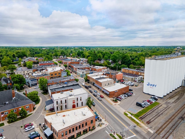 115 Mckinley St, Chelsea, MI 48118 - bird's eye view