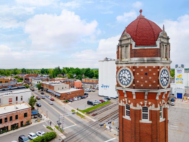 115 Mckinley St, Chelsea, MI 48118 - view of city