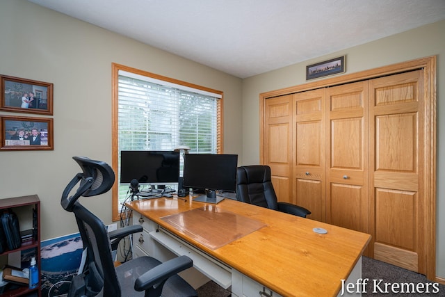 7153 Keystone Ct, Jenison, MI 49428 - office with carpet floors