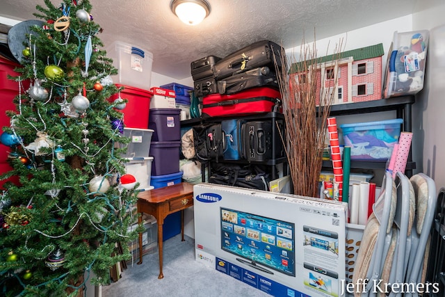 7153 Keystone Ct, Jenison, MI 49428 - view of storage room