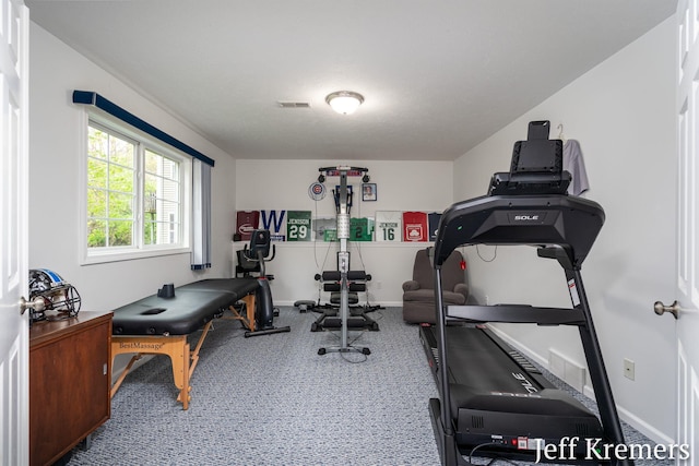 7153 Keystone Ct, Jenison, MI 49428 - workout area with carpet and baseboards