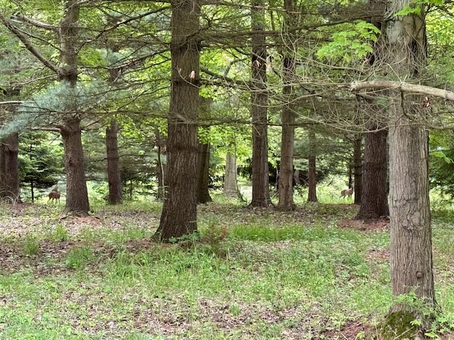 V/L Creekwood 5, South Haven, MI 49090 - photo 3