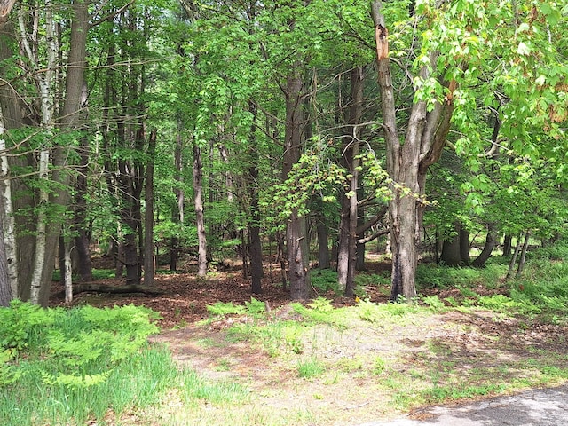 V/LLOT9 Cambridge Dr, Ludington, MI 49431