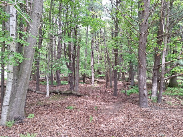 V/LLOT9 Cambridge Dr, Ludington, MI 49431