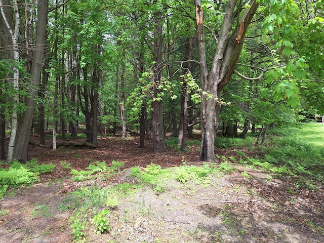 V/LLOT9 Cambridge Dr, Ludington, MI 49431