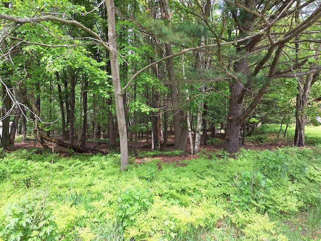 V/LLOT9 Cambridge Dr, Ludington, MI 49431