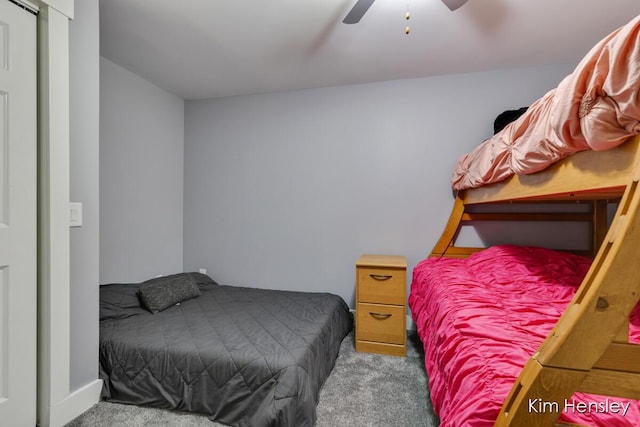 15036 Alister Mackenzie Ave, Augusta, MI 49012 - photo 42