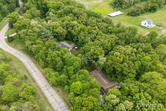 15036 Alister Mackenzie Ave, Augusta, MI 49012 - photo 67