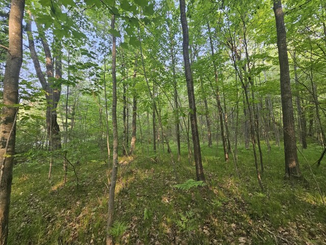 V/L Mannsiding Rd, Harrison, MI 48625