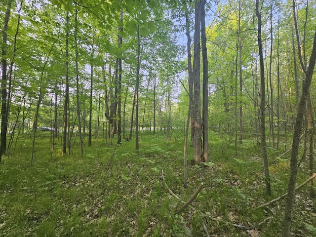 V/L Mannsiding Rd, Harrison, MI 48625