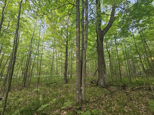 V/L Mannsiding Rd, Harrison, MI 48625