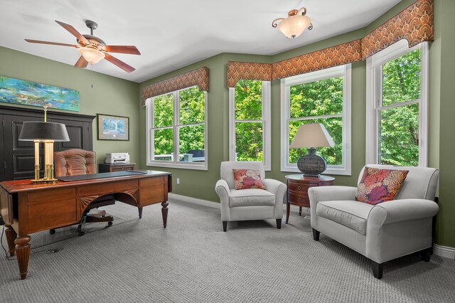 6461 E Bay Ln, Richland, MI 49083 - carpeted home office featuring a ceiling fan and baseboards