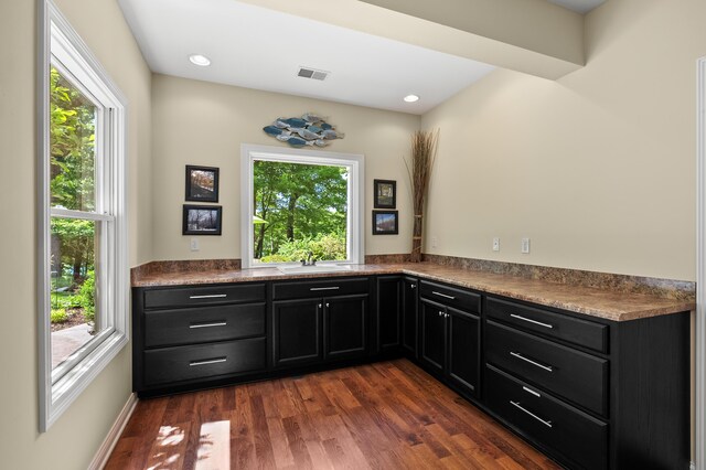 6461 E Bay Ln, Richland, MI 49083 - kitchen featuring dark cabinetry, dark wood-style flooring, and a sink