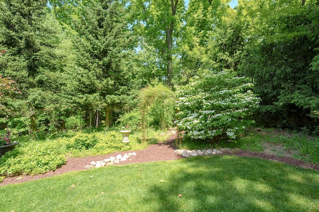 6461 E Bay Ln, Richland, MI 49083 - view of green lawn