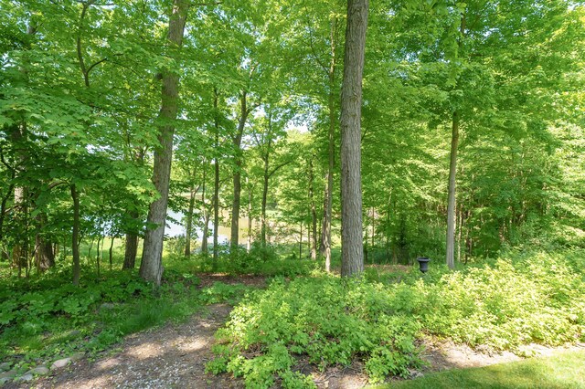 6461 E Bay Ln, Richland, MI 49083 - view of local wilderness