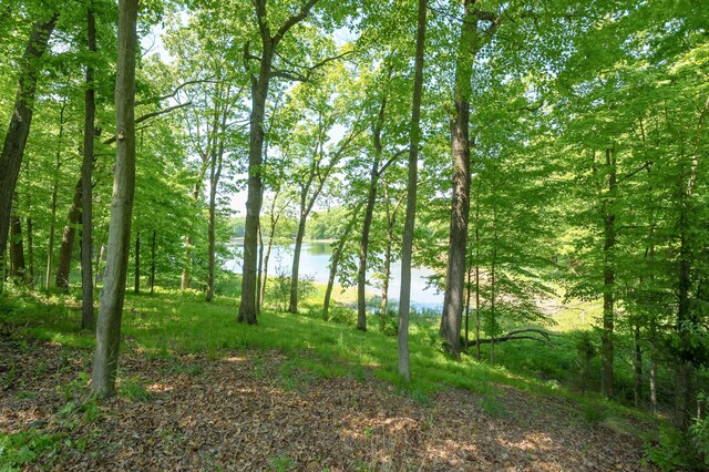6461 E Bay Ln, Richland, MI 49083 - view of undeveloped land featuring a nearby body of water