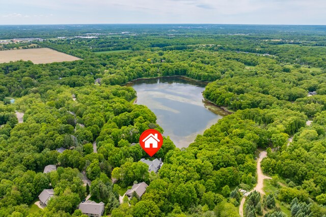 6461 E Bay Ln, Richland, MI 49083 - drone / aerial view of a large body of water and a heavily wooded area