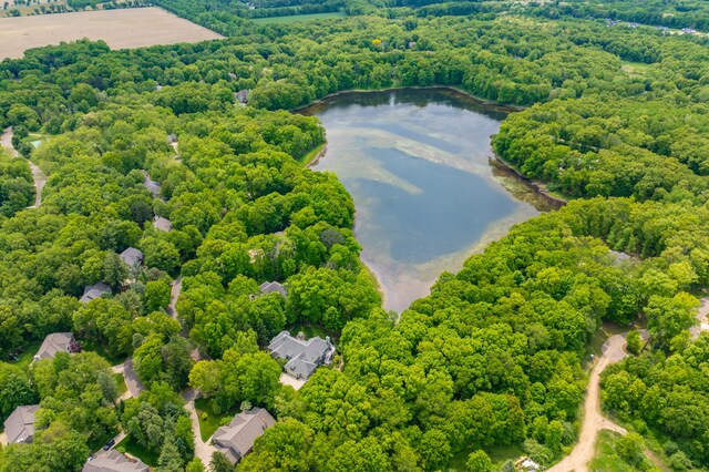 6461 E Bay Ln, Richland, MI 49083 - drone / aerial view of a nearby body of water and a forest