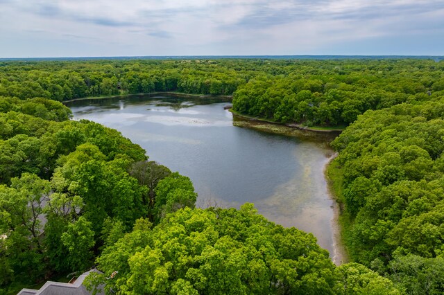6461 E Bay Ln, Richland, MI 49083 - aerial view of a heavily wooded area and a nearby body of water