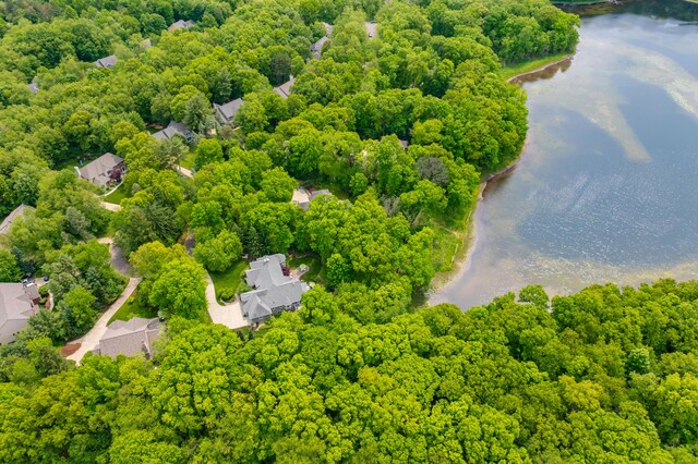 6461 E Bay Ln, Richland, MI 49083 - aerial view of a large body of water and a forest