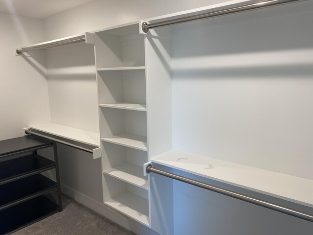 3699 Teton Dr, Hudsonville, MI 49426 - view of spacious closet