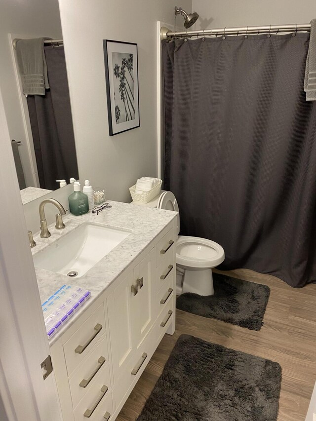 3699 Teton Dr, Hudsonville, MI 49426 - bathroom featuring vanity, wood finished floors, toilet, and a shower with shower curtain