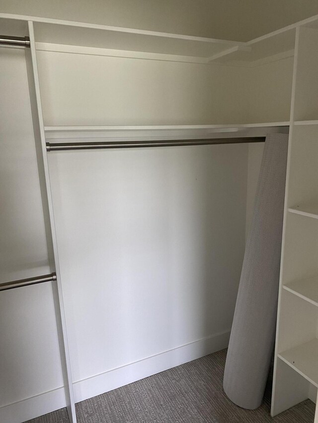 3699 Teton Dr, Hudsonville, MI 49426 - view of closet
