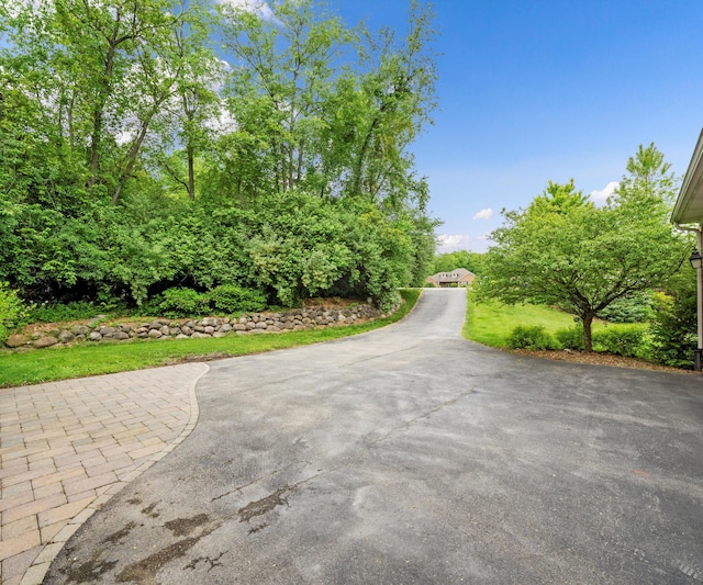 6201 Donovanridge, Dexter, MI 48130 - view of asphalt driveway