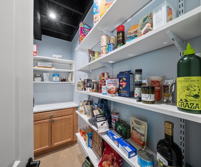 6201 Donovanridge, Dexter, MI 48130 - view of storage area