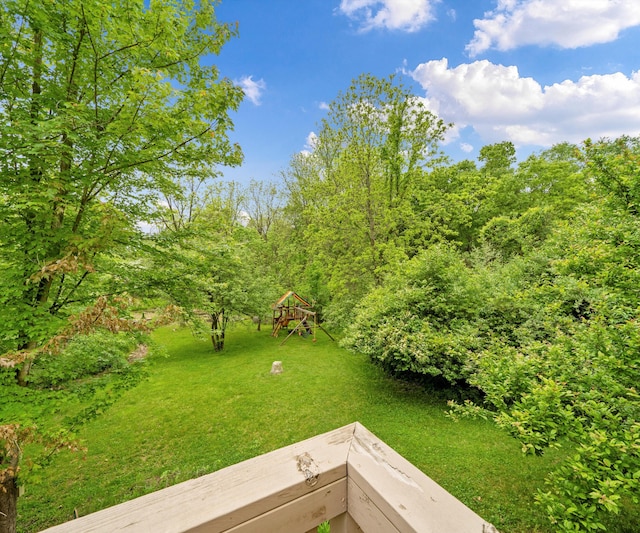 6201 Donovanridge, Dexter, MI 48130 - view of green lawn featuring a playground