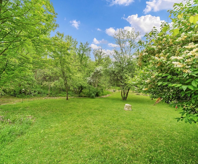 6201 Donovanridge, Dexter, MI 48130 - view of grassy yard