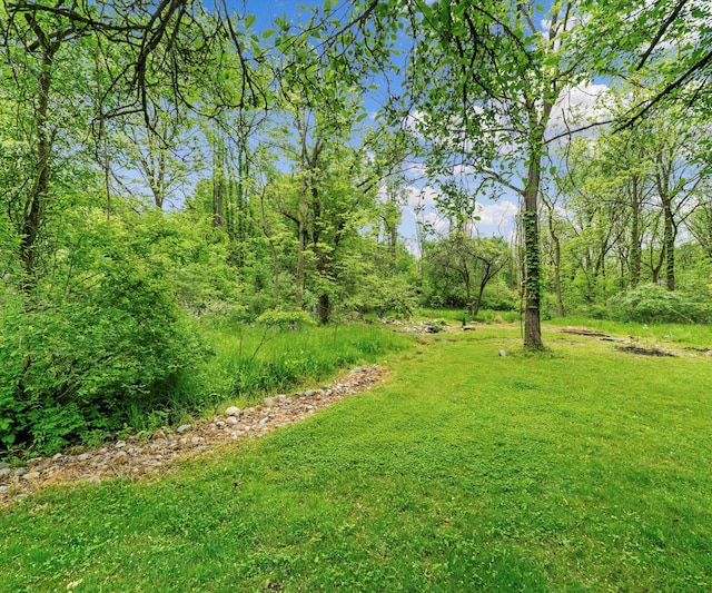 6201 Donovanridge, Dexter, MI 48130 - view of green lawn
