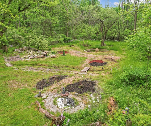 6201 Donovanridge, Dexter, MI 48130 - view of yard