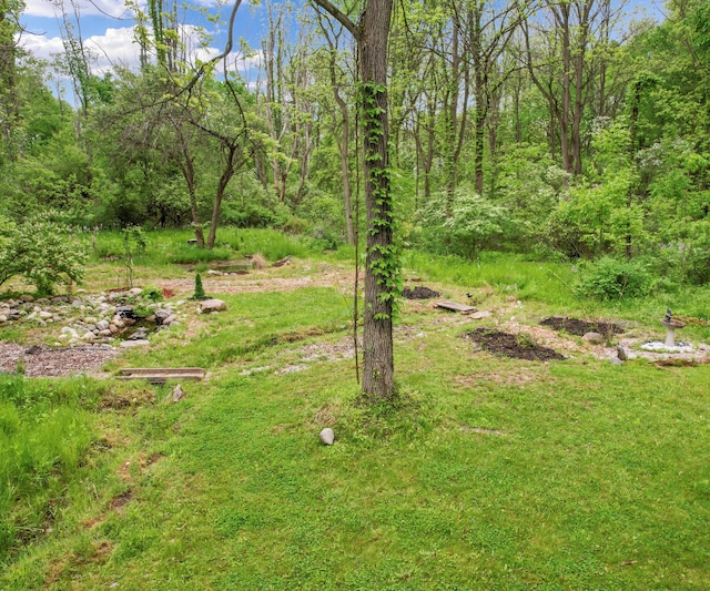 6201 Donovanridge, Dexter, MI 48130 - view of yard