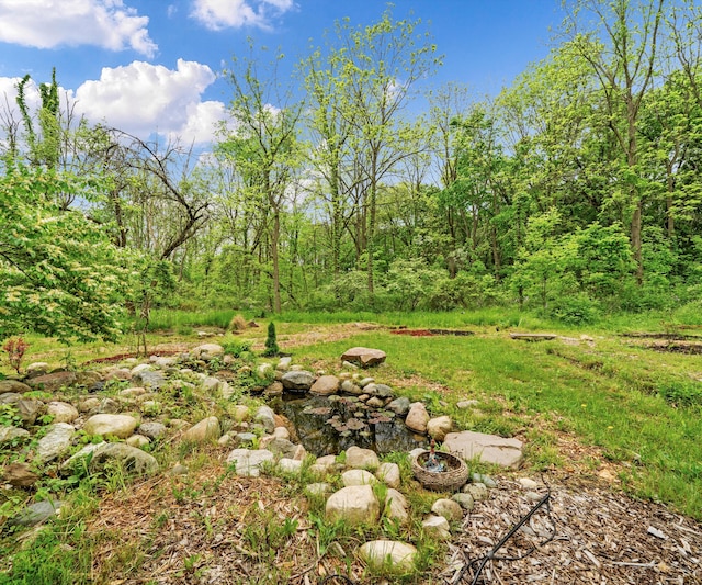6201 Donovanridge, Dexter, MI 48130 - view of yard with a forest view