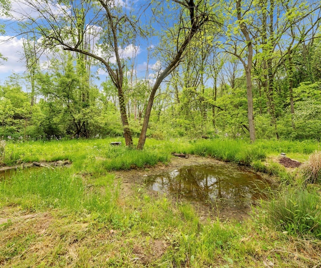 6201 Donovanridge, Dexter, MI 48130 - view of yard