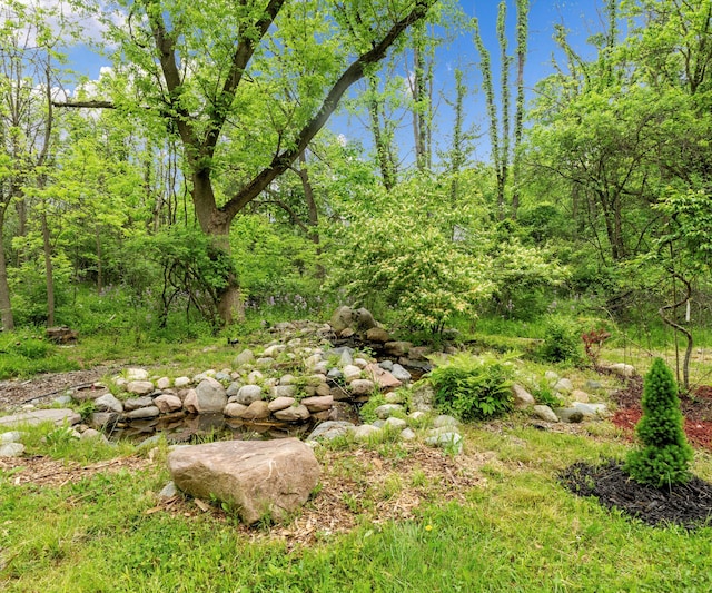 6201 Donovanridge, Dexter, MI 48130 - view of woods