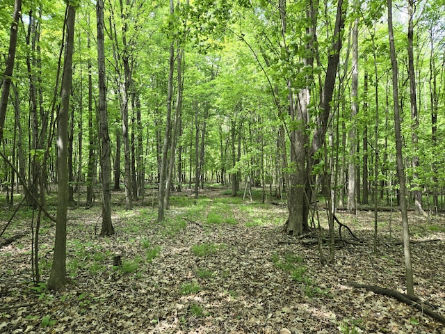 4500 W Wise Rd, Greenville, MI 48838